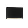 Large ADA Outdoor LED Wide Rectangle - Open Top & Bottom (254|CER-5655W-CRB)
