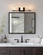 Era 3-Light Bath Bar (254|ALR-8443-10-DBRZ)