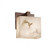 Modular 1-Light LED Wall Sconce (ADA) (254|FAL-8931-55-DBRZ-LED1-700)