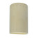 Small LED Cylinder w/ Perfs - Closed Top (Outdoor) (254|CER-0990W-VAN-LED1-1000)