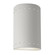 Small LED Cylinder w/ Perfs - Closed Top (Outdoor) (254|CER-0990W-BIS-LED1-1000)
