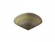 Clam Shell (254|CER-3710-SEAC)