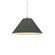 Small Avola 1-Light Pendant (254|CER-6640-PWGN-MBLK-BEIG-TWST)