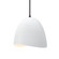 Small Brisa 1-Light Pendant (254|CER-6610-WTWT-MBLK-BKCD)