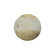 Small 10'' Round Backlit ADA Color Temperature Selectable LED Wall Sconce (254|CER-5100-TRAG)