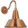 Academy 11'' Flynn Barn Light (279|TOB 2816SC/S1-SC)