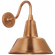 Academy 11'' Flynn Barn Light (279|TOB 2816SC/S1-SC)