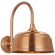 Academy 11'' Arched Mack Barn Light (279|TOB 2814SC/S6-SC)