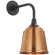 Academy 11'' Rex Barn Light (279|TOB 2808MBK/S5-SC)