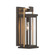 Lendel 6'' Twilight Bronze + Textured Gold Outdoor Sconce (205|LDL-901-TZ-TG)