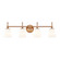 Tulsi 4-Light Bath Bar (254|FSN-8314-OPAL-BRSS)