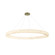 Medley 62'' LED Ring Pendant (254|FAL-8229-BRSS)