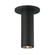 Fulcrum-Flush Mount (19|86251BK)