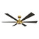Brenix 60'' 5CCT LED Smart Ceiling Fan (39|F773L-HBR/CL)
