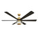 Ligero 60'' 5CCT LED Smart Ceiling Fan (39|F769L-HBR/CL)