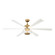 Ligero 60'' 5CCT LED Smart Ceiling Fan (39|F769L-HBR/ALW)