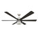 Ligero 60'' 5CCT LED Smart Ceiling Fan (39|F769L-BN/CL)