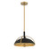 Yorkshire 14'' 2-Light Pendant (10|18312-880)