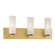 Wexmere 22'' 3-Light Vanity (10|12323-876)
