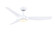 Lizza 56 inch Indoor/Outdoor Smart Ceiling Fan with LED CCT Select Light Kit (90|FPD6656MW)