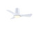 Corke 36 inch Indoor/Outdoor Smart Ceiling Fan with LED CCT Select Light Kit (90|FPD6638MW)
