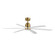 Petals 60'' 6-Blade Fan w LED (19|88326WTNAB)