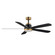 Daisies 60'' 5-Blade Fan w LED (19|88828BKGLD)