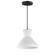 Sinch Single Pendant (19|11452SWBK)