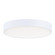 Trim Eco 5'' RD LED Flush Mount 3000K (19|57330WTWT)