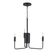 Abner 3-Light Chandelier (19|24863BK)