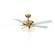 52'' Ceiling Fan in Natural Brass (128|M2035NBRV)