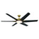 Deco 65 3CCT LED Indoor/Outdoor Ceiling Fan (39|F866L-HBR/CL)