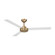Roto 52'' Ceiling Fan (39|F524-BBR/ALW)