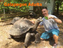 Galapagos Island Tortoises