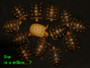 Platinum Yellow Leucistic Red Foot Hatchlings