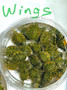 Golden Flame Wing Phase  for sale at The Turtle Source.