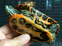 Southern River Cooter/Red Eared Slider Hybrid Yearling