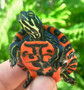 Northern Red Bellied Turtles for sale at The Turtle Source.