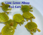 Best Lime Green Albino Red Eared Sliders for sale at The Turtle Source.
