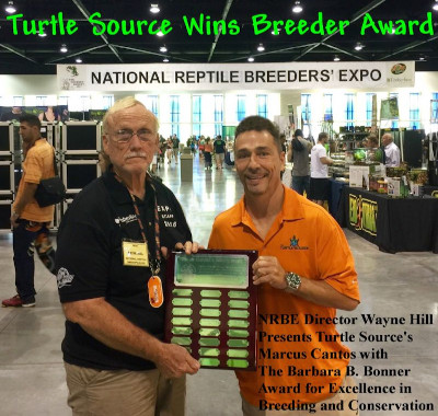 Marc Cantos from The Turtle Source is awarded breeder of the year award. 