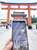 Japan eSim speedtest Kyoto