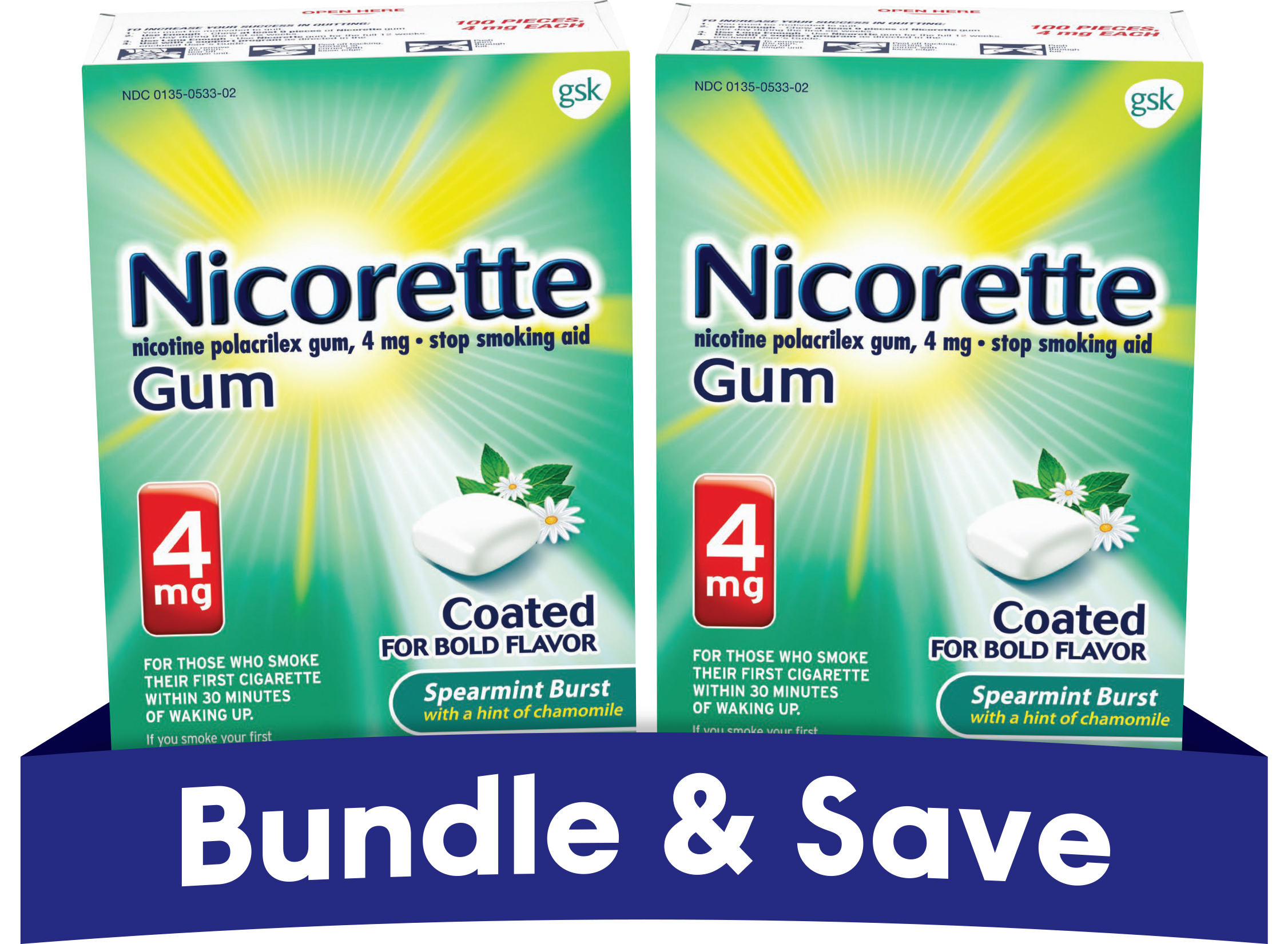 4mg Nicotine Gum Spearmint Burst (200 Ct Bundle)