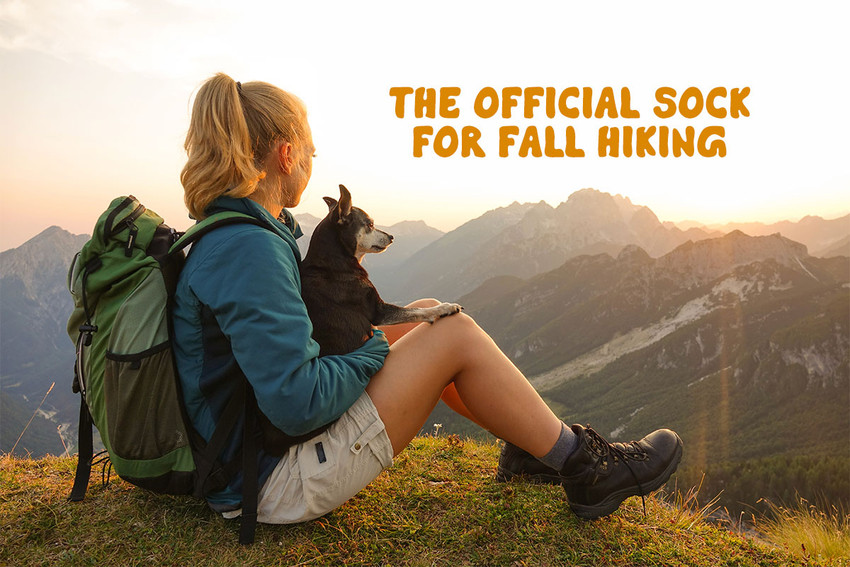 Hiking With Your Dog: Dos & Don’ts