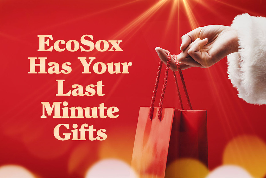 Last-Minute Holiday Gift Idea: EcoSox Bamboo Socks