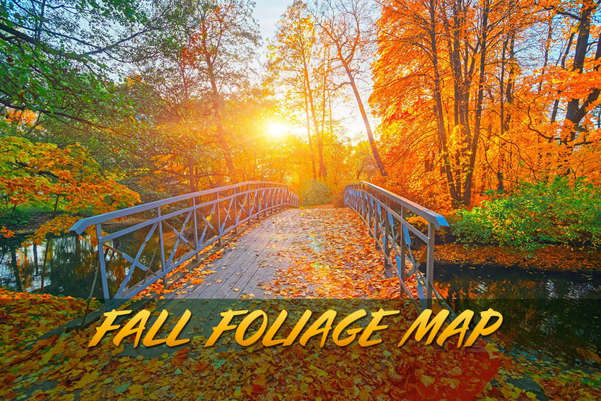 The Best Fall Hiking Trails