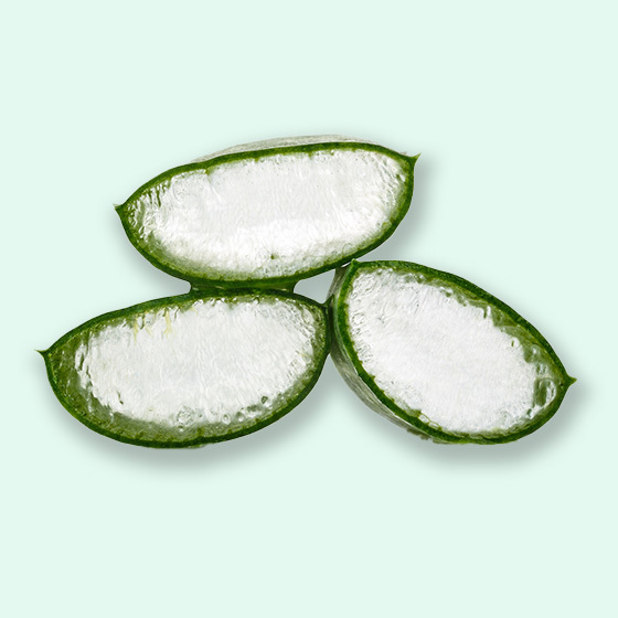 Three sliced aloe vera leaves showing clear gel interior surrounded by green skin on a light green background.
