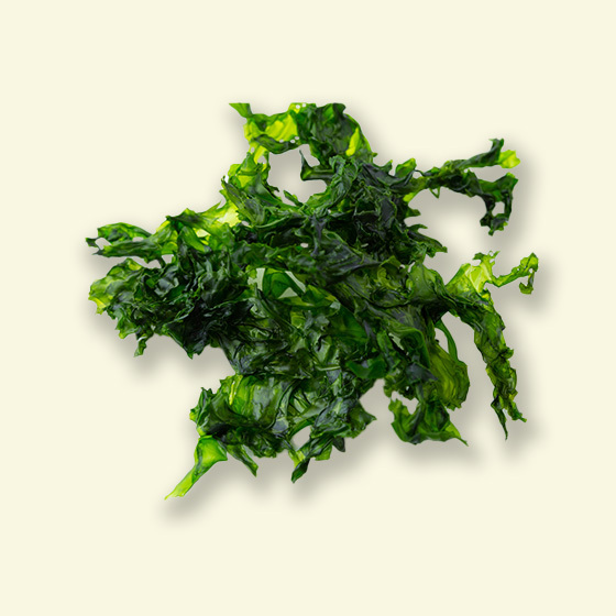 Dark green aosa seaweed with thin, ruffled fronds arranged on a cream background.