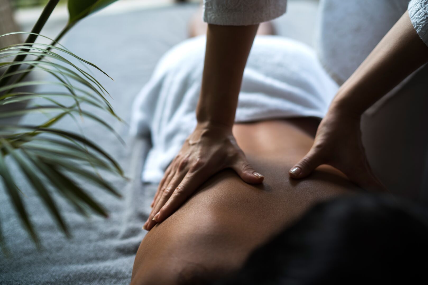A massage therapy session in progress, showing a massage therapist's hands performing a back massage on a client. The client is lying face down on a massage table, wearing a white towel. The therapist's hands are positioned on the client's lower back. In the foreground, green palm fronds are visible, creating a tropical spa atmosphere. The setting appears serene and professional, with soft lighting that emphasizes the relaxing spa environment.