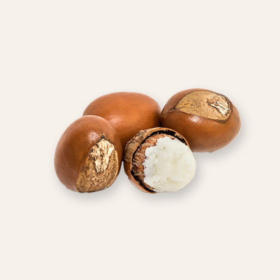 Brown shea nuts with one cracked open to reveal the white shea butter inside, displayed on a light pink background.