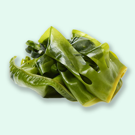 Fresh organic wakame seaweed with dark green, glossy leaves arranged on a light background.